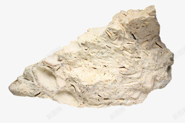 白色孤立的石灰石实物png免抠素材_88icon https://88icon.com 价值 动物 古生物 坚硬 收藏 珍贵 石头 科学家 科研 考研 远古