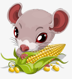 吃玉米吃玉米的老鼠高清图片