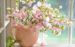 粉色窗台窗台上的粉色花瓶海报背景高清图片