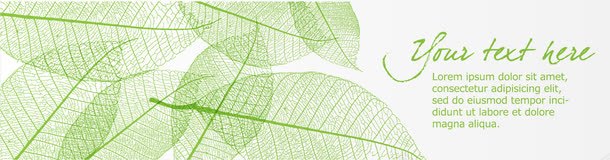 条幅背景矢量图ai免抠素材_88icon https://88icon.com BANNER 卡片背景 宽幅 条幅 横幅图案 矢量图