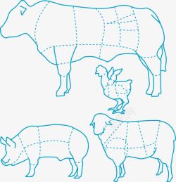 猪牛羊鸡食肉分布图素材