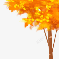 秋季唯美红色枫树素材