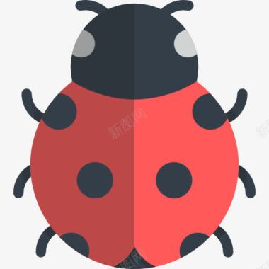 鐭虫煴七星瓢虫图标图标