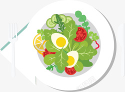 节食健康瘦身减脂沙拉矢量图高清图片