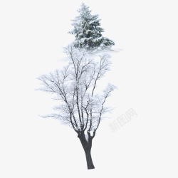 二十四节气之小雪白雪树装饰图下素材