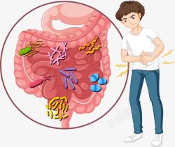 肚子里的病毒矢量图素材