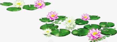 荷塘美景莲花卡通png免抠素材_88icon https://88icon.com 卡通 美景 荷塘 莲花