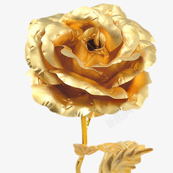质感玫瑰花素材金色精致装饰花卉高清图片