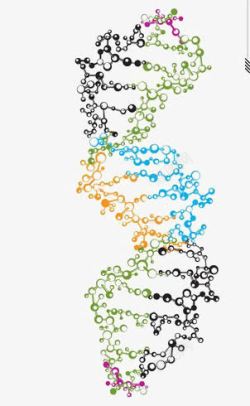 遗传学DNA链断裂高清图片