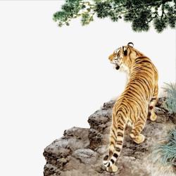 老虎背面山崖上的老虎高清图片