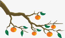 橙子树枝橙子树枝高清图片