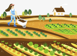 卡通农民卡通插图农地种植蔬菜高清图片