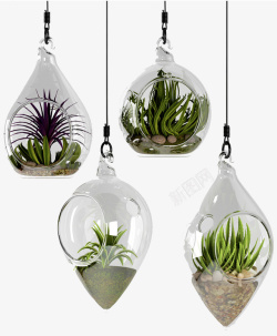 植物造型图片悬挂玻璃瓶吊篮花高清图片