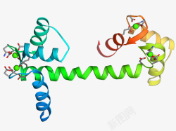 蛋白质结构蛋白质分子模型高清图片