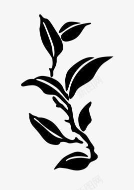 黑白罐子黑白茶叶树枝图标图标