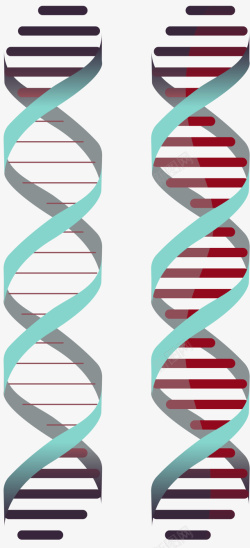 双螺旋卡通风格DNA素材