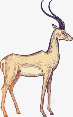 复古麋鹿头手绘素描动物羚羊插画高清图片