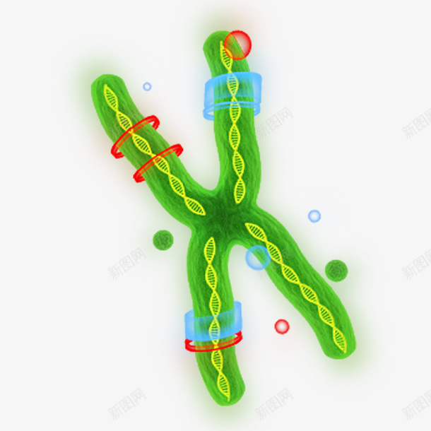 绿色手绘DNApng免抠素材_88icon https://88icon.com DNA DNA结构图 免抠图 抠图 插画 装饰画