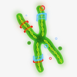 绿色手绘DNA素材