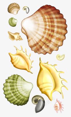 卡通海洋生物扇贝海螺素材