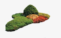 植物造型图片绿色园林树木高清图片