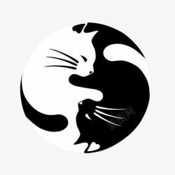 画月亮手绘黑白猫抽象高清图片