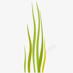绿色海草插画矢量图素材