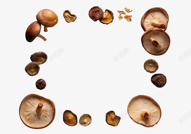 香菇环一圈香菇蘑菇psd免抠素材_88icon https://88icon.com 厨房食材 真菌 菇类 蘑菇 食用菌类 香菇
