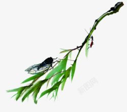 绿色水墨植物知了素材