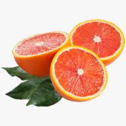 唯美精美水果橙子树叶素材