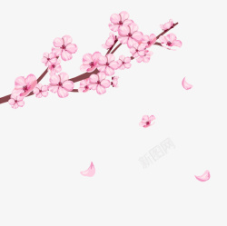 日本樱花季一枝焚影日本樱花季高清图片