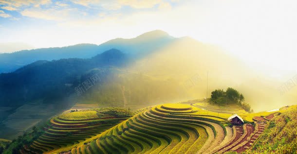 梯田绿色海报背景背景