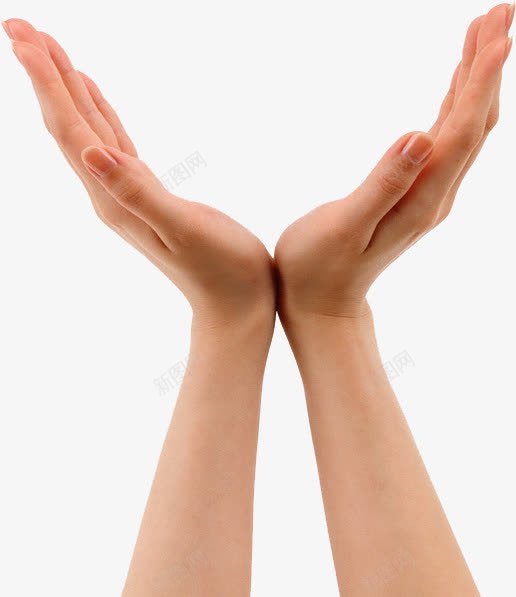 手势png免抠素材_88icon https://88icon.com 双手合 手势 手势图片 手势集锦 手式集合 手掌 手臂 拉勾 棒 耶