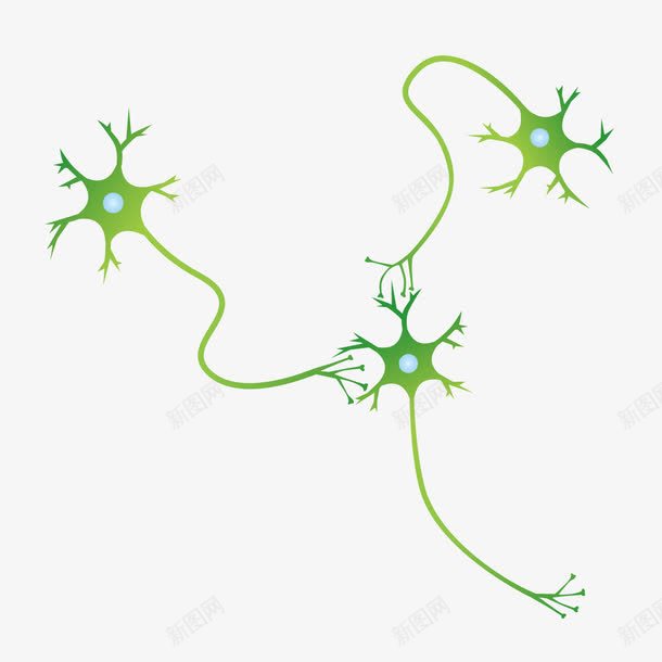 卡通神经细胞png免抠素材_88icon https://88icon.com 中枢神经 卡通细胞 生物学 生物实验 神经元 神经细胞
