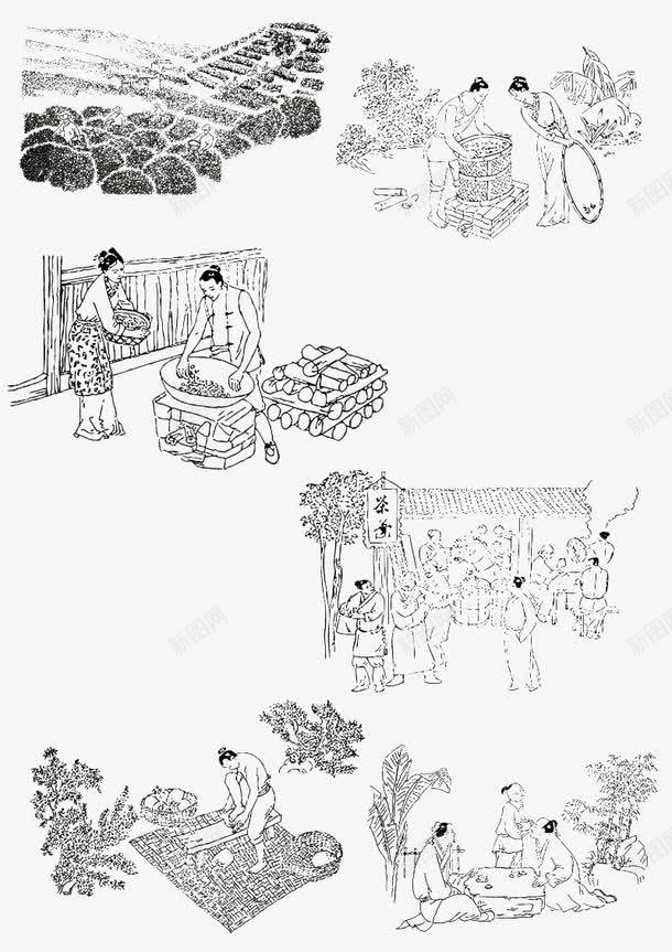 古代制茶工艺线描画png免抠素材_88icon https://88icon.com 中国古代 制茶 工艺 线描画