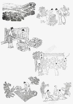 古代制茶工艺线描画素材
