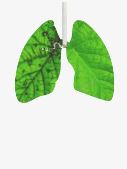 禁烟日库禁烟日公益广告肺部与香烟绿色高清图片