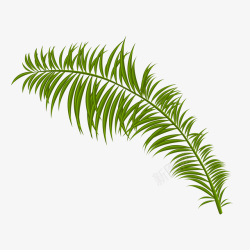 扇形叶子一根绿色的棕榈树叶子矢量图高清图片