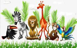 雨林之中热带雨林中的动物高清图片