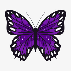 紫黑色点状昆虫蝴蝶矢量图素材
