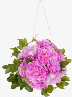 粉色鲜花绳子盆栽装饰图案素材