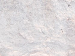 砂石石头纹理砂石岩石横切面高清图片