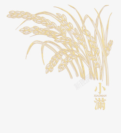 小麦纹理黄色创意麦穗卡通插画高清图片