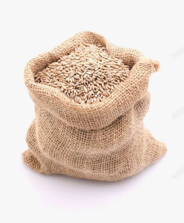 麦子食物png免抠素材_88icon https://88icon.com 五谷 实物 小麦 杂粮 稻谷 袋装麦子 食物 麦子