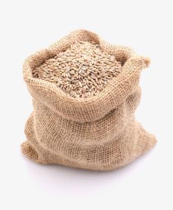 稻谷png实物麦子食物高清图片