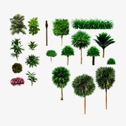 植物造型图片园林景观高清图片