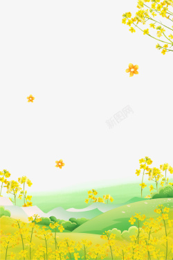 黄色草坪油菜花背景金黄色清新唯美油菜花背景高清图片