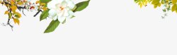 白色树枝梨花栀子花装饰图案素材