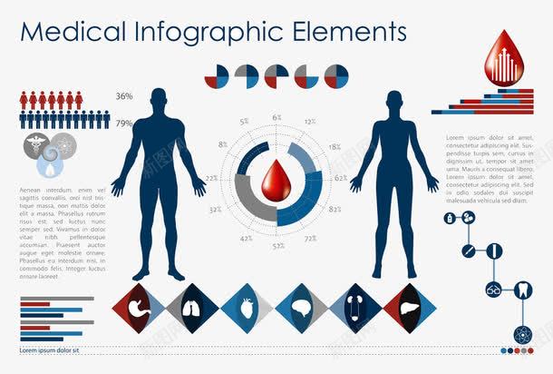 血滴和人体器官信息图表矢量图eps免抠素材_88icon https://88icon.com 血滴人体器官创意信息图表3D信息图表 矢量图