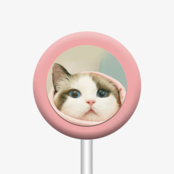 粉色糖果猫咪素材